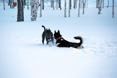 Similar image 21818085