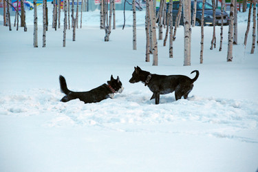 Similar image 21818086