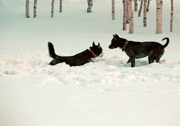 Similar image 21818048