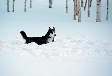 Similar image 21818049