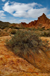 Similar image 21819063