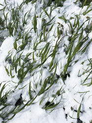 Similar image 21819986