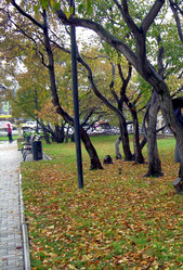 Similar image 21819066