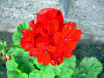 Similar image 21819068