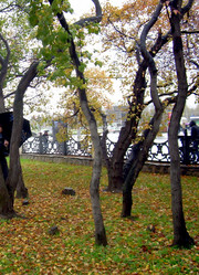 Similar image 21819069