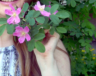 Similar image 21819072