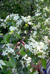 Similar image 21819077