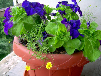 Similar image 21819079