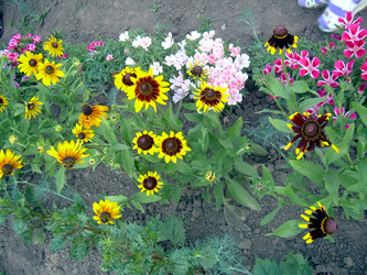 Similar image 21819081