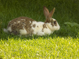 Similar image 21818903