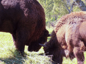 Similar image 21818904