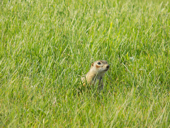 Similar image 21819082