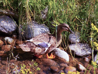 Similar image 21819083