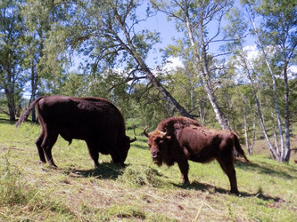 Similar image 21819084