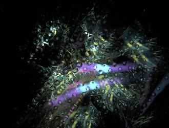 Similar image 21825128