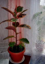 Similar image 21819085