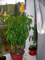 Similar image 21819087