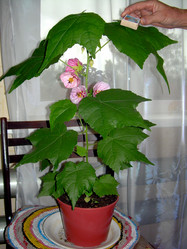 Similar image 21819088