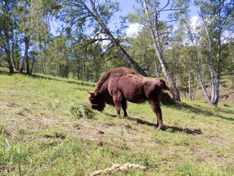 Similar image 21819089