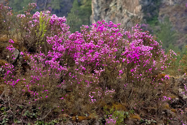 Similar image 21821710