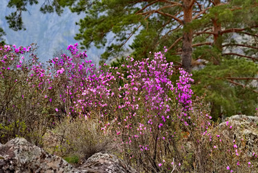 Similar image 21821711