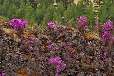 Similar image 21821712