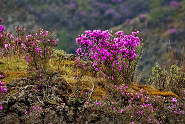 Similar image 21821713