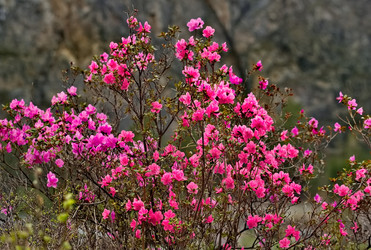 Similar image 21821715