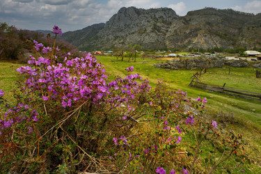 Similar image 21821716