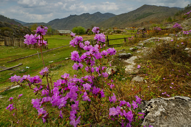 Similar image 21821717