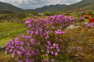 Similar image 21821718