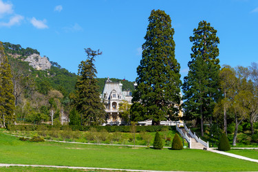 Similar image 21822474