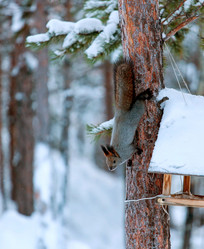 Similar image 21818051