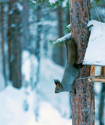 Similar image 21818052