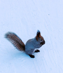 Similar image 21818053