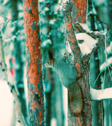 Similar image 21818169