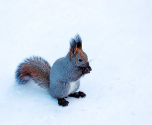 Similar image 21818170