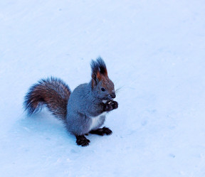 Similar image 21818171