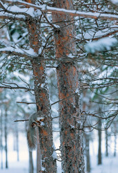 Similar image 21818173