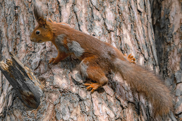 Similar image 21818060