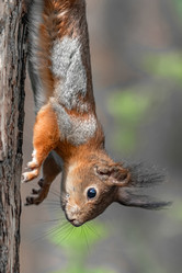 Similar image 21818061