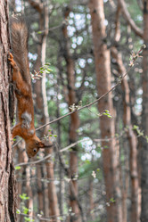 Similar image 21818062