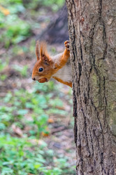 Similar image 21818074