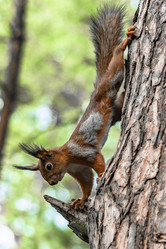 Similar image 21818076