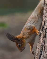 Similar image 21818080