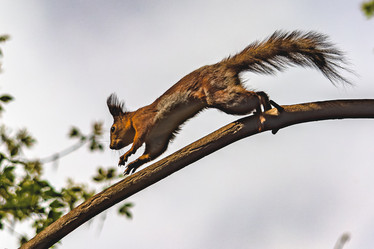 Similar image 21818081