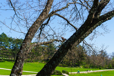 Similar image 21822475