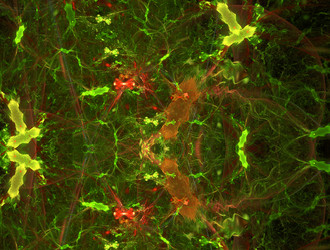 Similar image 21822263