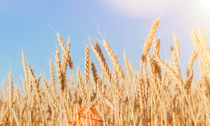 Similar image 21824931