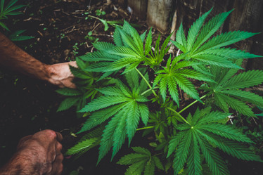 Similar image 21824936